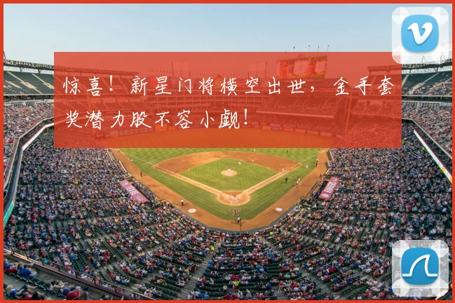 惊喜!新星门将横空出世,金手套奖潜力股不容小觑!