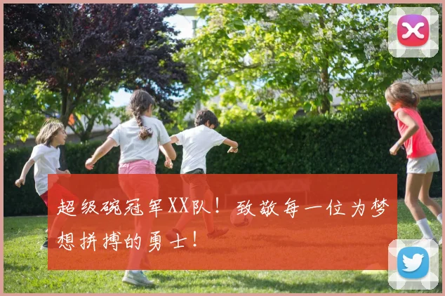 超级碗冠军XX队！致敬每一位为梦想拼搏的勇士！